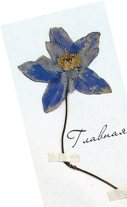 Кабинет Психоанализа. Главная